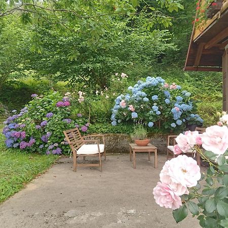 Holiday Home Vesna Brod na Kupi Extérieur photo