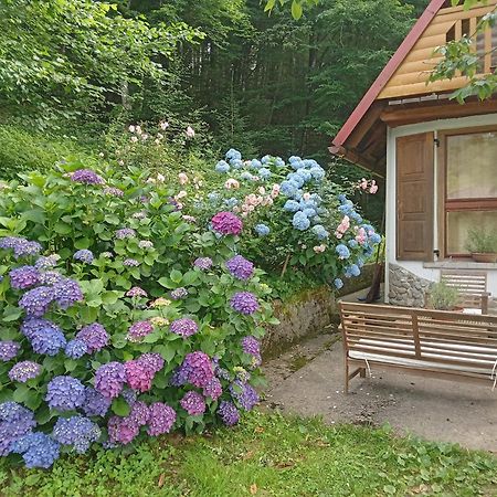 Holiday Home Vesna Brod na Kupi Extérieur photo
