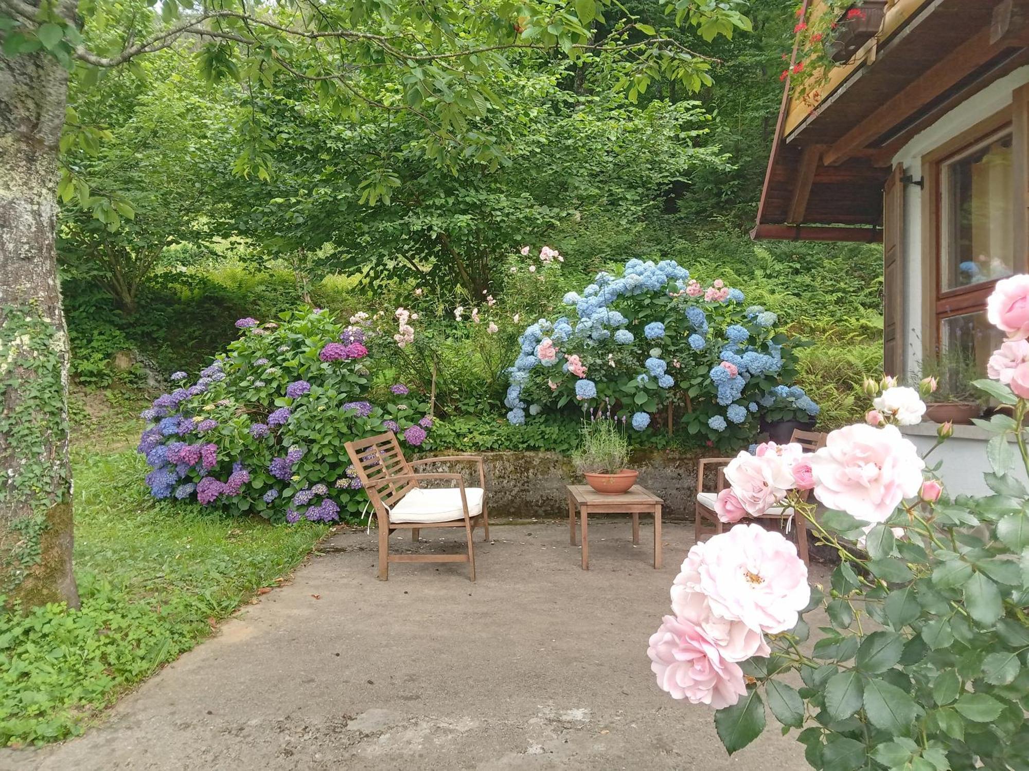 Holiday Home Vesna Brod na Kupi Extérieur photo