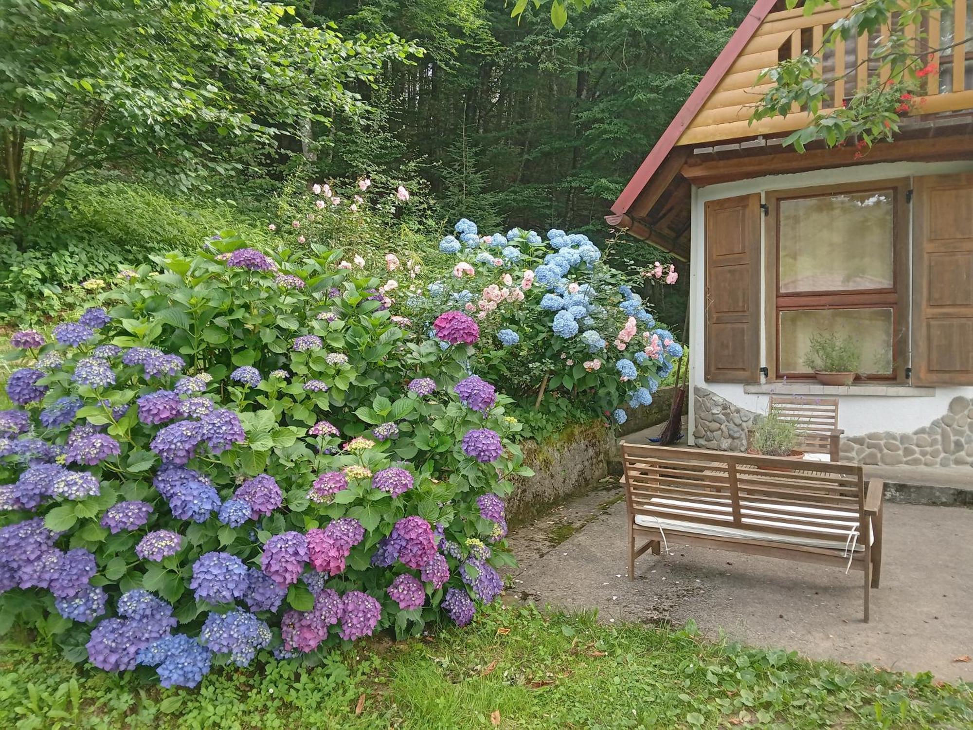 Holiday Home Vesna Brod na Kupi Extérieur photo